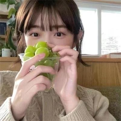 灵狐